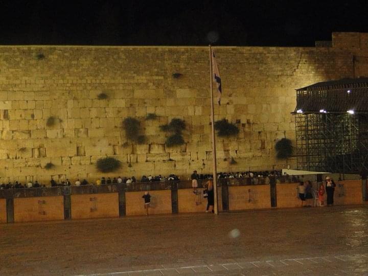 Vitória contra o terror